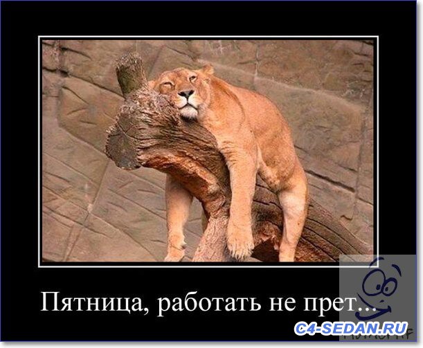 С пятницей  - Friday-pictures-funny-15.jpg